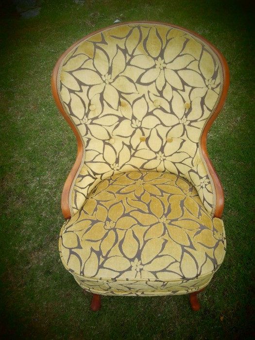Vakre velour blomster Vakre velour blomster