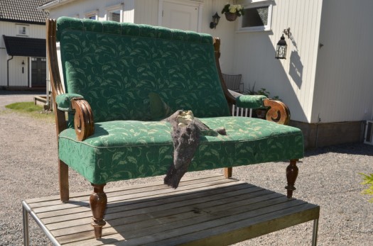 Sofa til lufting i sola!