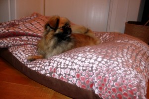 toby 2
